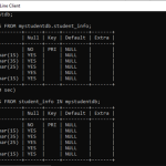 Create Table MySQL